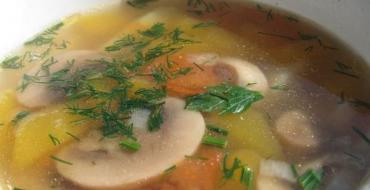 Грибной суп из замороженных грибов: особенности приготовления, рецепты и отзывы Рецепт грибного супа из замороженных белых грибов